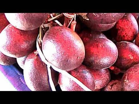Video: Longan Fruit: Helsefordeler, Ernæringsprofil Og Bivirkninger