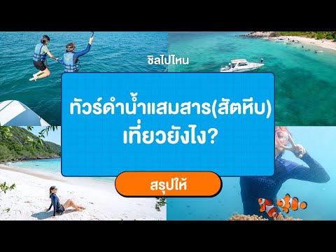 ทัวร์ดำน้ำแสมสาร เที่ยวยังไง? [แสมสาร สัตหีบ ชลบุรี]