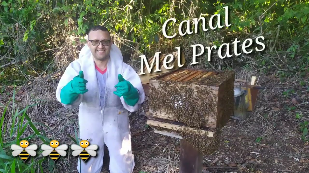 Construção da casa de extração de mel 🍯, # 1.