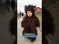 Funny Memories Kids & Pets | Дети и животные на ферме. 2017-2020 #austria #poellpets