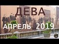 ДЕВА. ТАРО ПРОГНОЗ. АПРЕЛЬ 2019