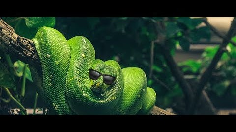 Tugas Besar UTS PEMROGRAMAN PYTHON Kelompok 10 TT4401