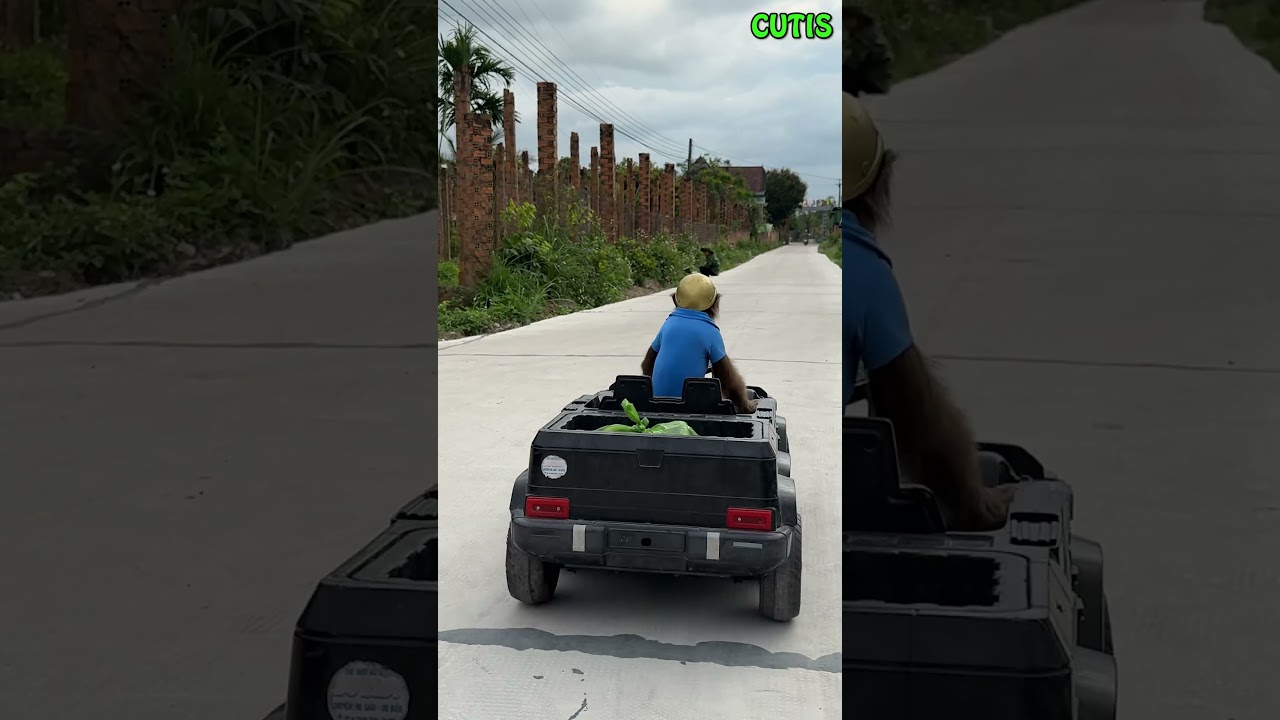 CUTIS intentionally hides from Dad😱