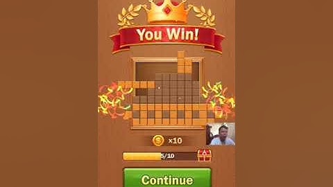 Wooden Block Jigsaw Puzzle Level 381 - 390 Walkthrough