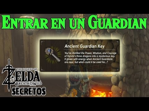 Vídeo: O Mod De Troca De Gênero Torna Zelda Realmente Estrela Zelda