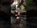 NO POWER TOOLS. #medievalblacksmith #germany #youtubeshorts #shorts #viral #subscribe #tending #uk