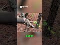 HUGE Buck! Epic First Hunt on Paul Reserve!