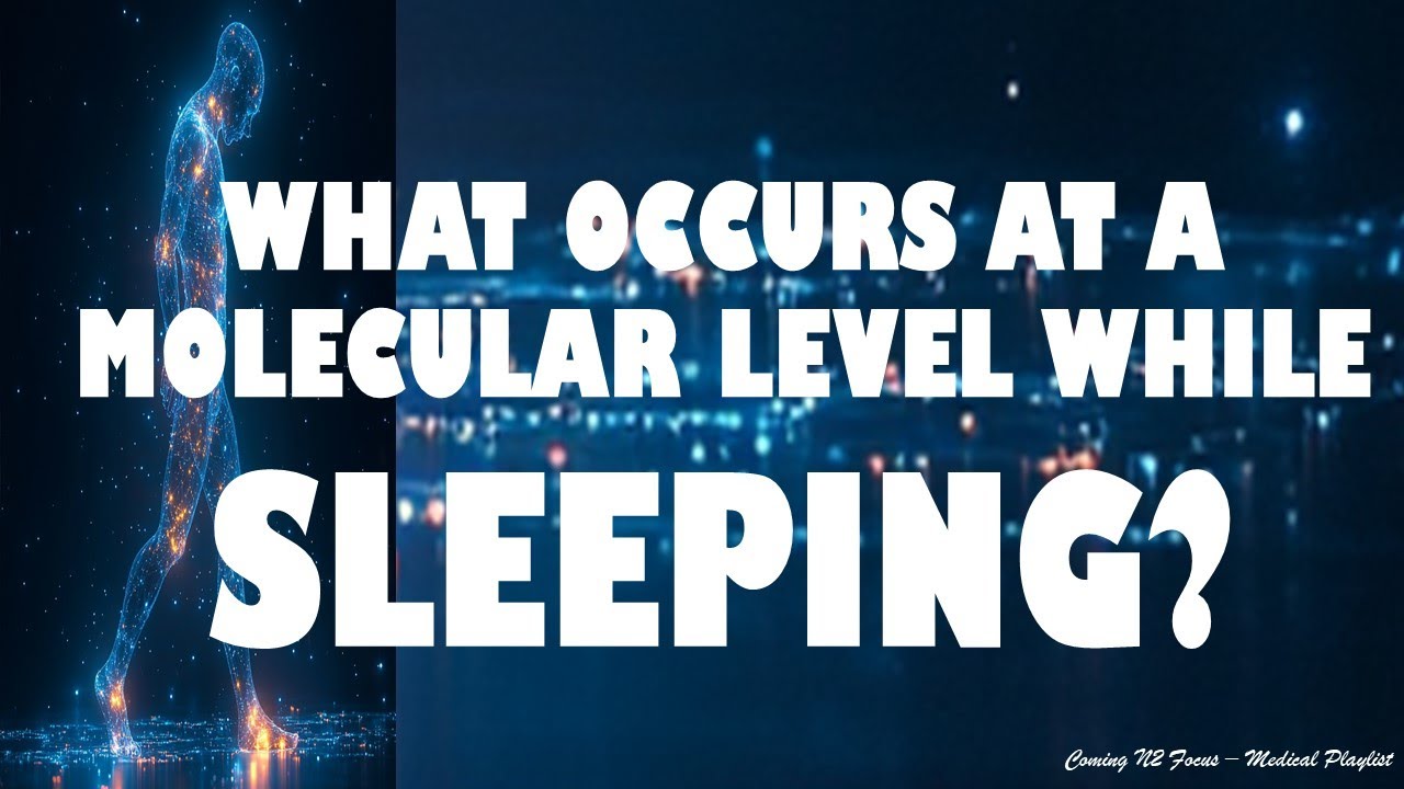 What Time At Night Does The Body Repair Itself The Healing Power of Sleep: How Your Body Repairs Itself - YouTube