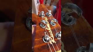 Steinberger locking tuners