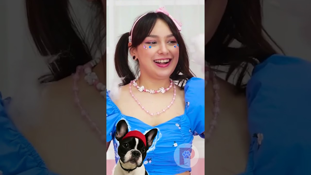 How to Make a Sleeping Bed From Old Clothes For Your Cat 