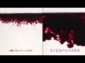 【違いは吸収量の良さ】比較!! ナノ（超微細化）ビルベリーを溶かす実験