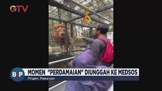 Pemilik Mobil Ditabrak Singa Datangi Taman Safari Prigen untuk 'Berdamai' #BuletiniNewsPagi 22/02
