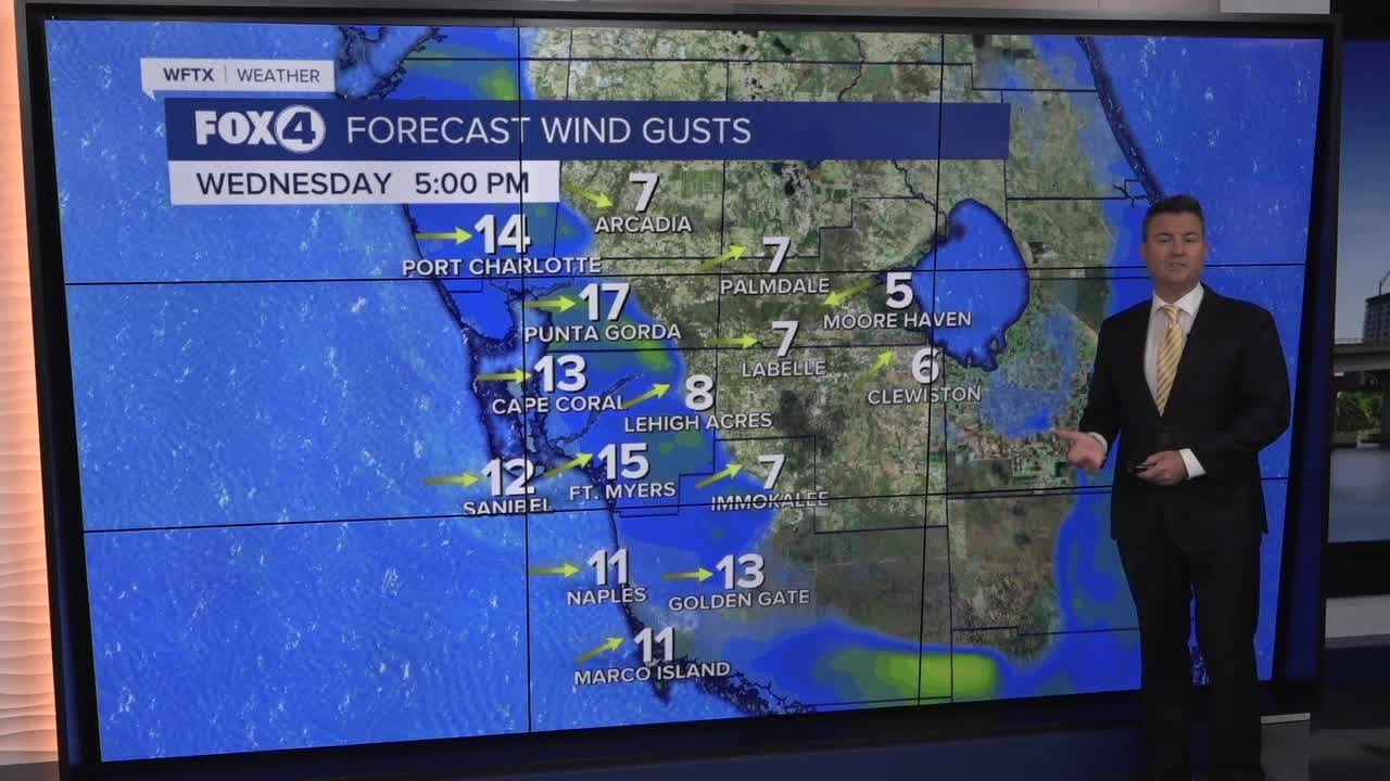 A chilly start to the day in Southwest Florida - YouTube