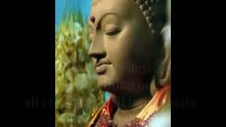 Chant Of Metta - Meditation For Peace