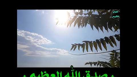 ماتيسرمن سورةالفجر بصوت القاريءالكردي هلويست نصرالدين .