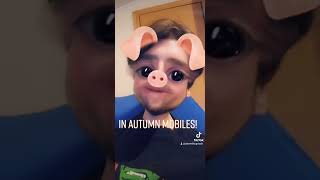 Hope they don't Fall for any tourist traps! 🍁🍂 #autumn #fall #funny #jokes #dadjokes #puns