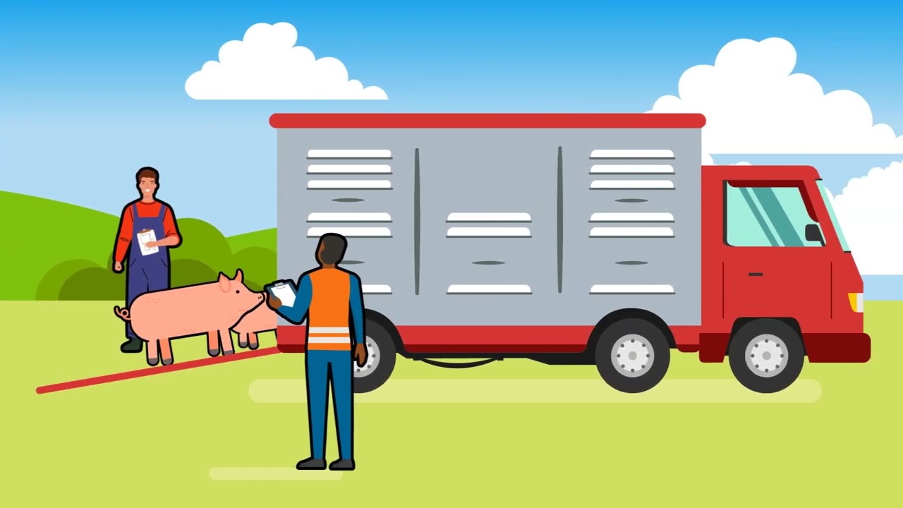 Where food comes from : The journey from farm to food