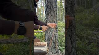 Knotenkunde 🙏🏻 Aleine im Bärengebiet Part 33 #bushcraft #survival #outdoor #zelten