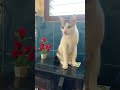 What's happening outside?