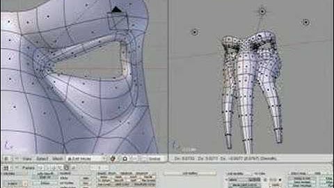 TimeLapse-Modeling on Octo-like head-Montage Studio