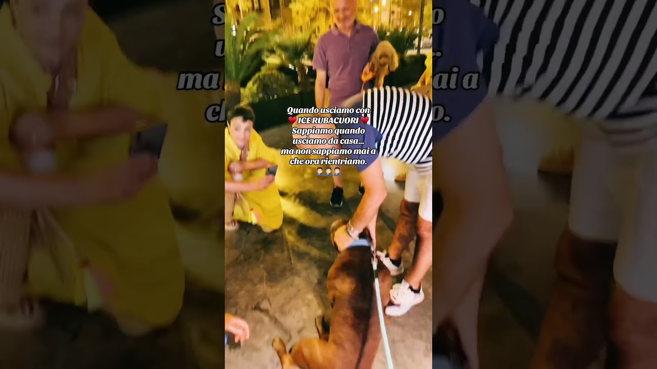 Il rientro a casa è sempre un incognita.🤦🏻‍♂️