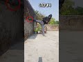 Back Kick Tutorial ☠️🥋 #kick #shorts #knockout #tutorial #viral