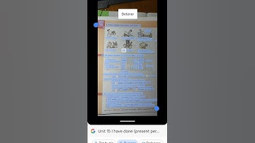 Essential Grammar in use -unit 15 English