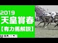 【2019天皇賞(春)】4歳勢vs古豪!新長距離王者は!?(有力馬解説)
