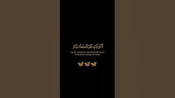 سورة الحديد / القارئ الشيخ أحمد النفيس / تلاوة خاشعة ومؤثرة تريح سمعك