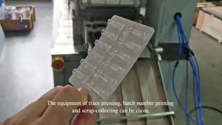 Dpp260 Automatic Aluminum Plastic Blister Packaging Machine