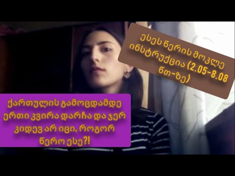 როგორ ვწეროთ ესე სწრაფად და ხარისხიანად