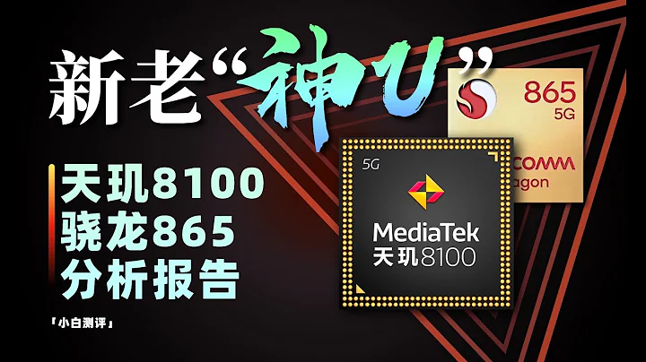 「小白」骁龙865&天玑8100分析报告：神U到底神在哪？ - 天天要闻