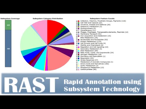 RAST: Bacterial genome sequence annotations.