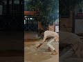 Happy Diwali 🪔|| The Students Corner||