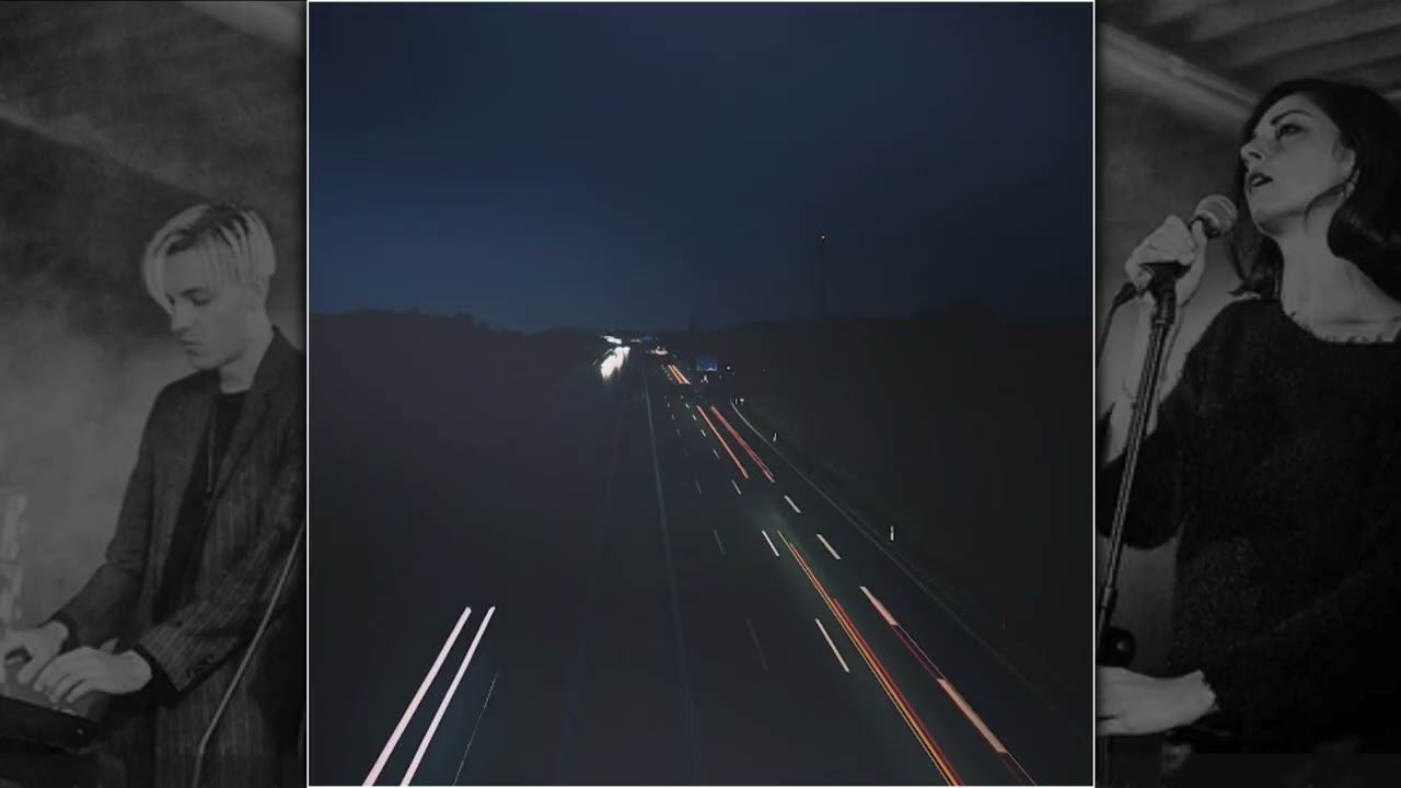 Gold Zebra | Leaving the City