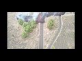 Volcán de palma 2021 vista de drone