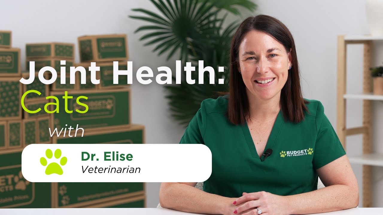 Joint Health - Cats | Joint Health Series | Budget Pet Products