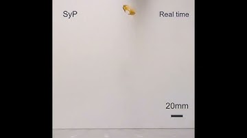 Click beetle-inspired robots jump using elastic energy