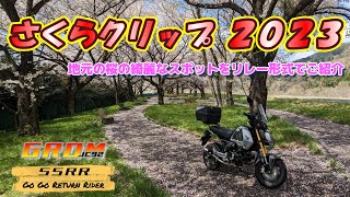 【GROM】さくらクリップ 2023 - Sakura Clips 2023 in My Neighborhood ＃モトブログ ＃HONDA #NC750X #GROM #リターンライダー