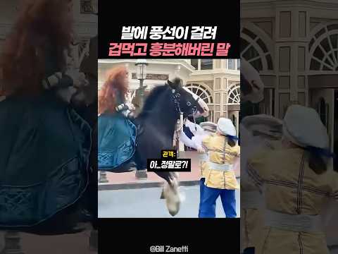 발에 풍선이 걸려 겁먹고 흥분해버린 말 thumbnail