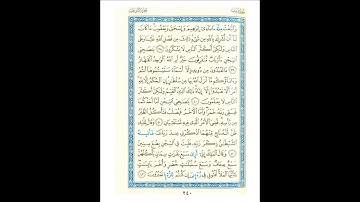 القرآن الكريم صفحة رقم 240 برواية الدوري عن الكسائي  القارئ مفتاح السلطني