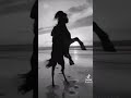 كاظم ساهر فراشة جئت Love اغاني Explore حالات واتس اب Music Iraq ستوريات 