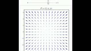 Four Introductory Examples of Two-Dimensional Vector Fields