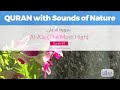 Relaxing Quran Recitation with the Sounds of Nature - Surah Al-A'la