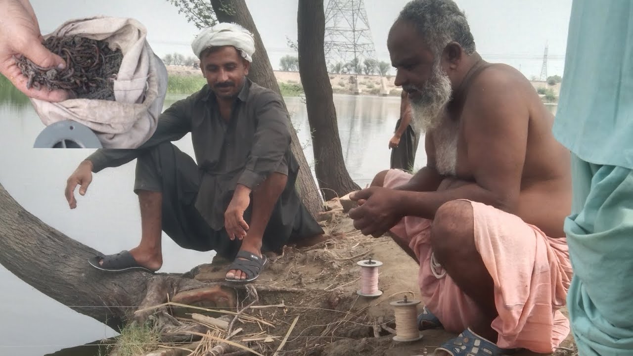 local fishing videos | fish video big net fishing | new bass fishing videos | rahu fish video