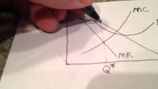 2007 AP Microeconomics Exam Form B Free Response #1