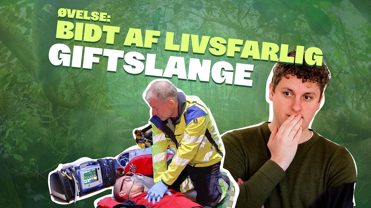 Vild øvelse med slange - behind the scenes i Randers Regnskov