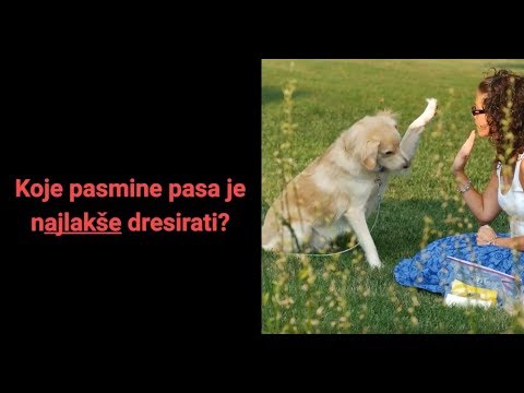 Video: Kako naučiti vašeg psa da 