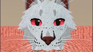 Meet the OCs | Pt. 2