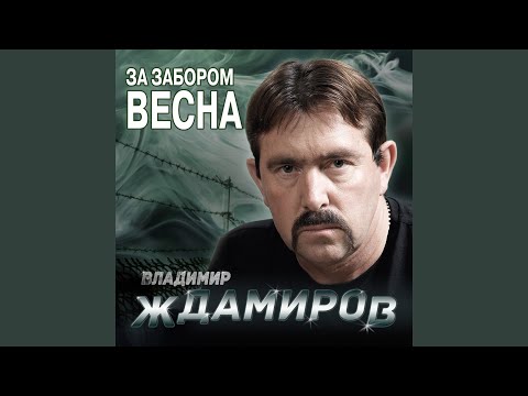 Владимир Ждамиров - Душевный привет